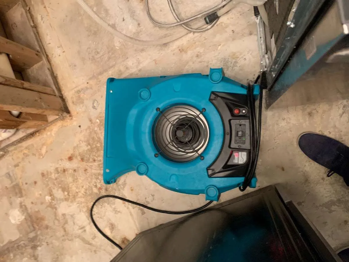 Air mover drying equipment for Mold Remediation & Removal in Deer Park